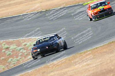 media/May-06-2023-Lucky Dog Racing (Sat) [[8f2256f436]]/Turn 2 10a/